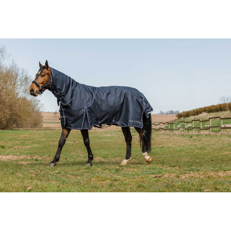 Horse wearing a dark gray rug in an open field with a clear sky.