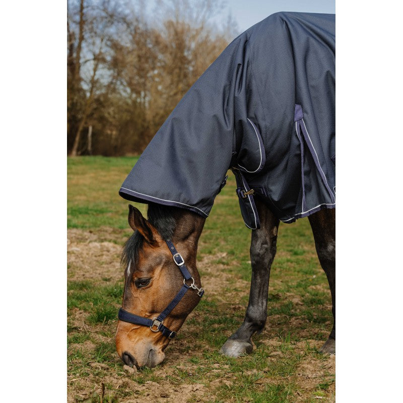 Horse wearing a dark gray rug in an outdoor setting