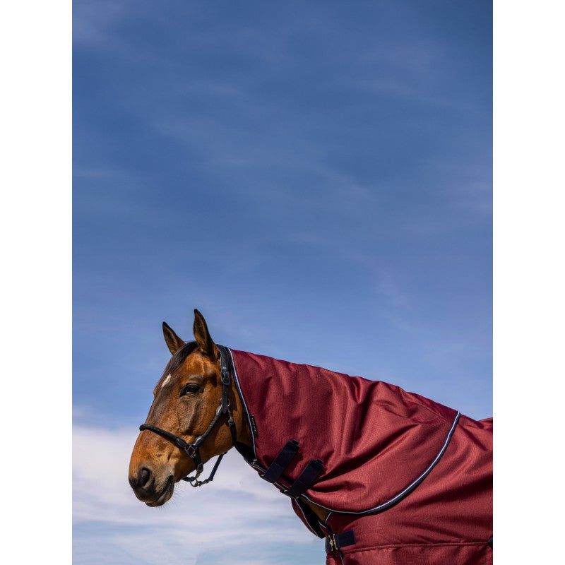Horse wearing a burgundy neck cover against a blue sky