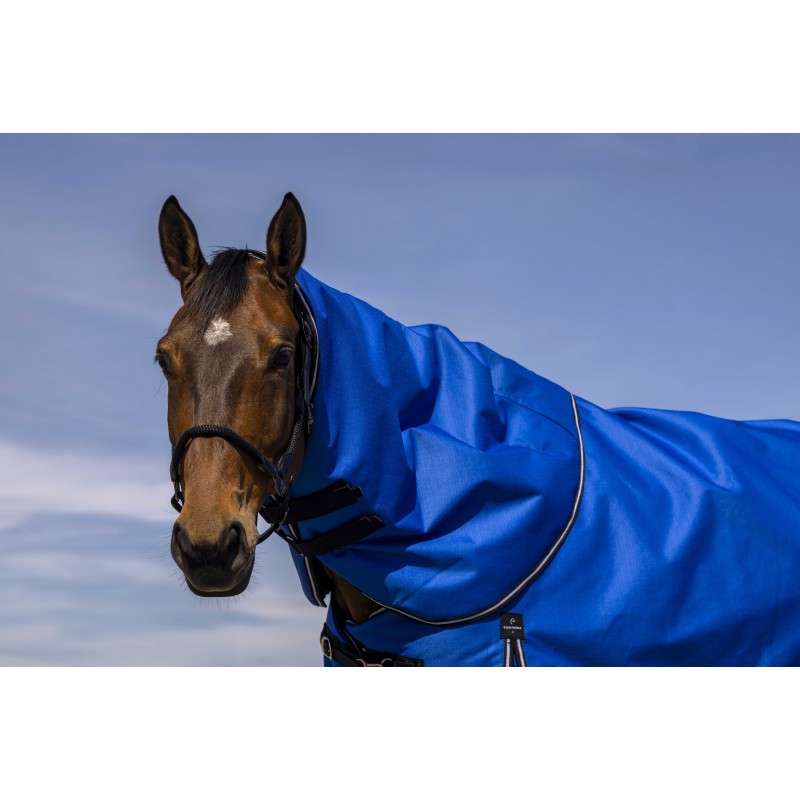 Horse in a blue neck cover against a blue sky