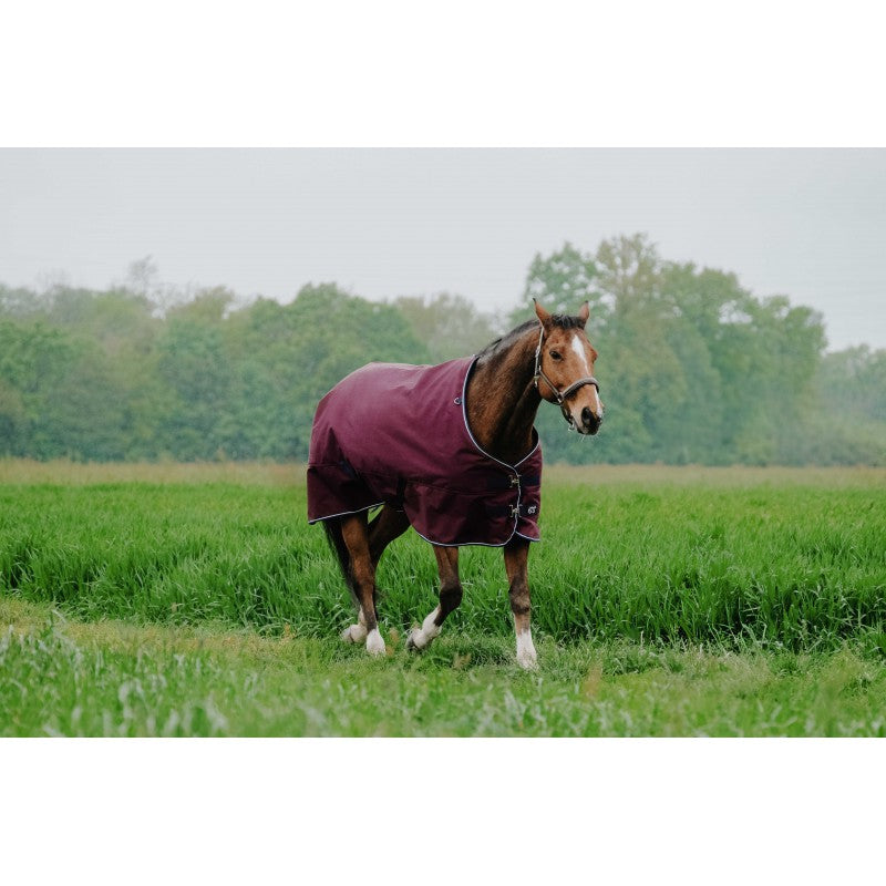 Horse wearing a purple blanket in a grassy field with trees in the background