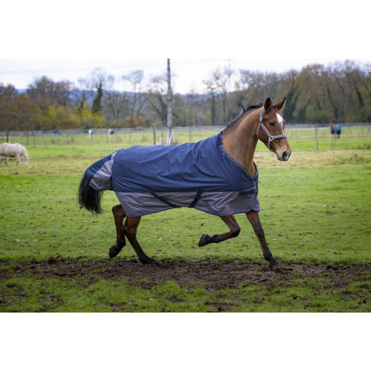 Boomerang Equestrian - Equitheme Tyrex 0 g Standard Neck Outdoor Rug Navy/Grey
