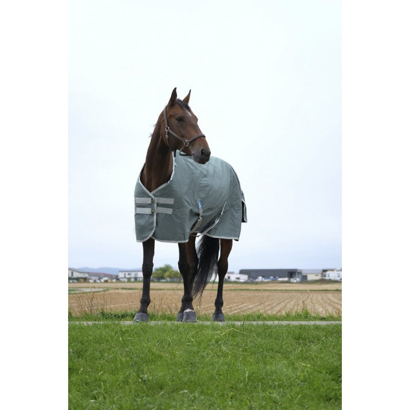 Boomerang Equestrian - Equitheme Tyrex 0g Turnout Rug Standard Neck Green