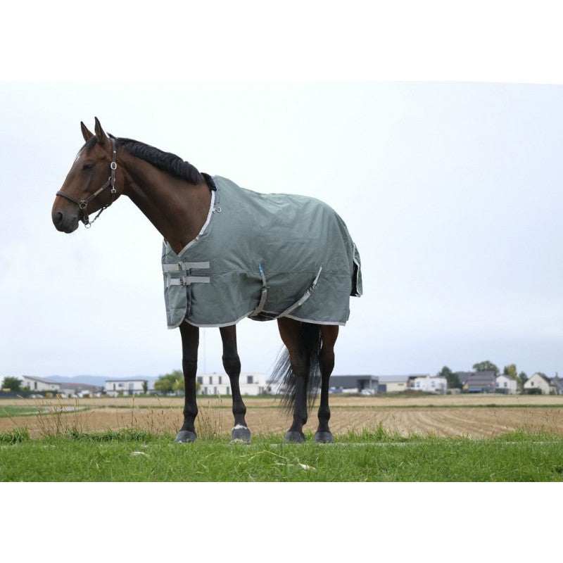 Boomerang Equestrian - Equitheme Tyrex 0g Turnout Rug Standard Neck Green