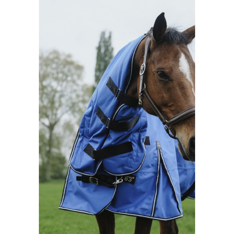 Boomerang Equestrian - Equitheme Tyrex Asiance 300 g Outdoor Rug With Full Neck Blue