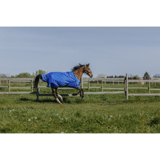 Boomerang Equestrian - Equitheme Tyrex Asiance 300 g Outdoor Rug Standard Neck Blue