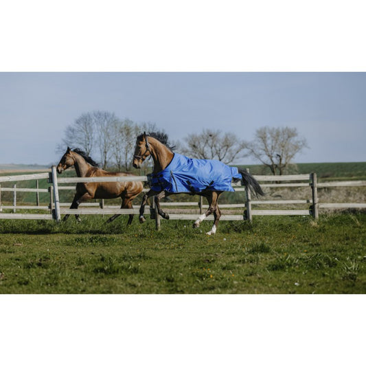 Boomerang Equestrian - Equitheme Tyrex Asiance 300 g Outdoor Rug Standard Neck Blue