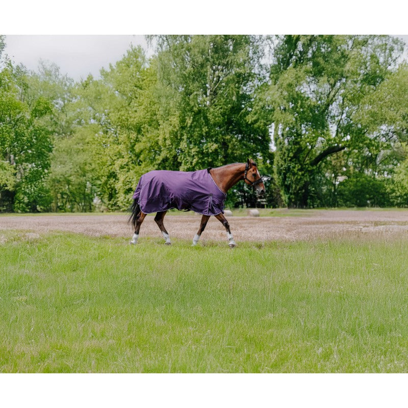 Horse wearing a purple rug walking in a grassy field with trees in the background