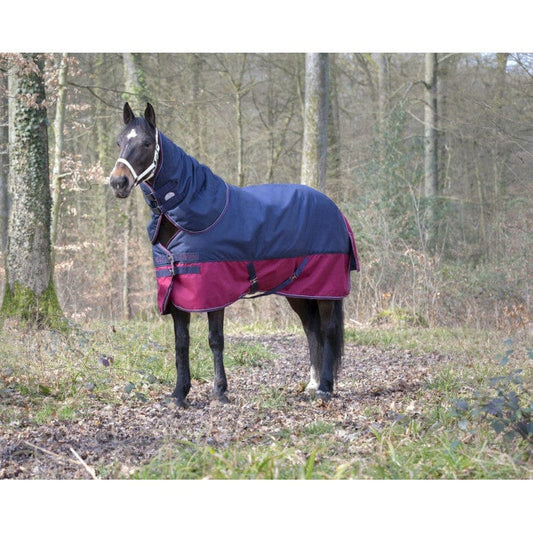Boomerang Equestrian - Equitheme Tyrex Neck Cover 200 g Navy/Burgundy