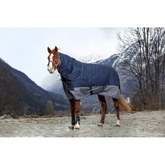 Horse wearing a blue and gray blanket in a mountainous landscape