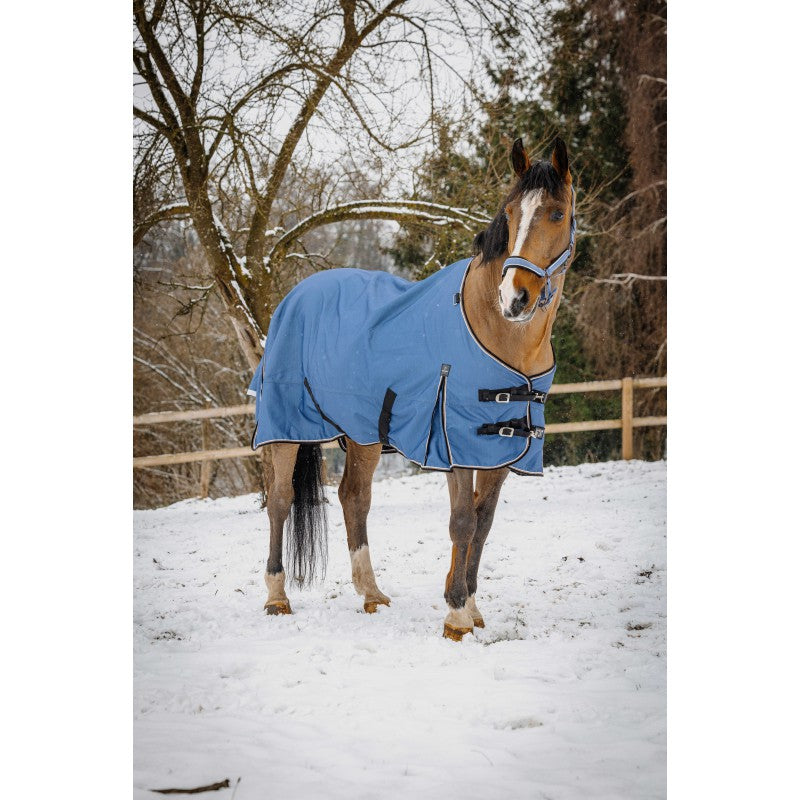 Horse wearing a blue blanket standing in a snowy field with trees in the background