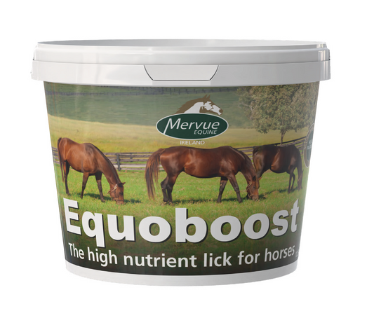Mervue Equoboost high nutrient lick for horses packaging on a white background