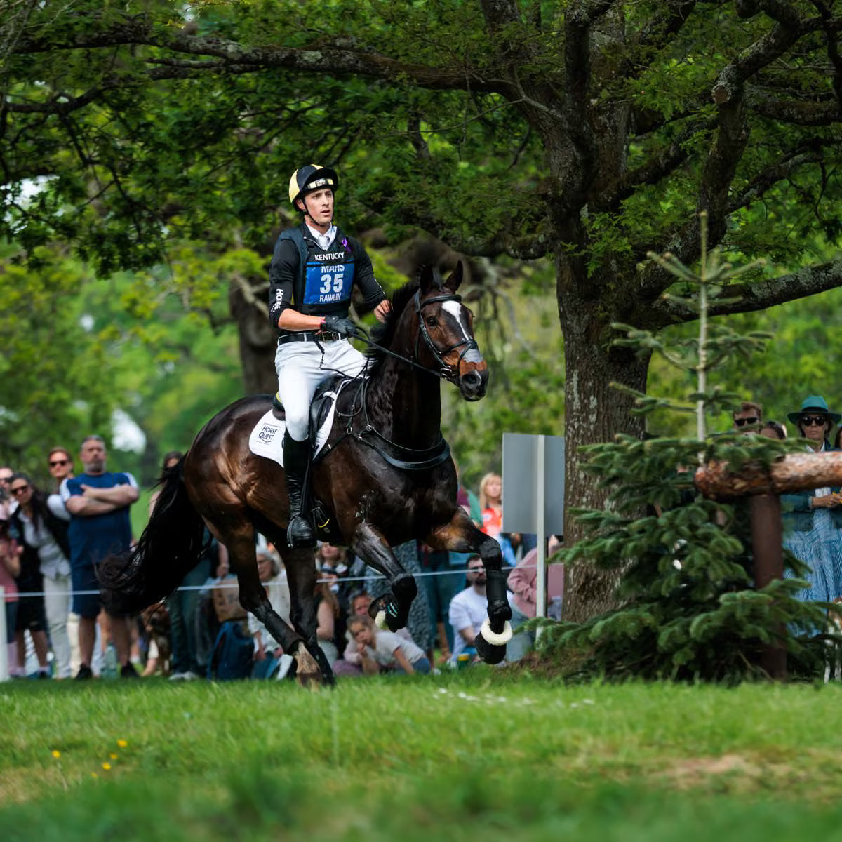 A horse rider in dark equestrian silks and a helmet rides a dark brown horse in an outdoor equestrian setting.