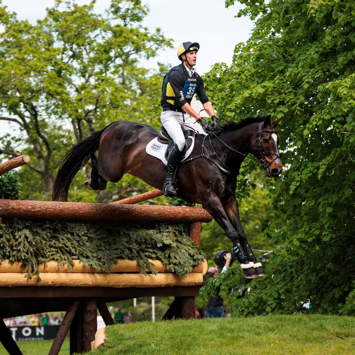 A horse rider in dark equestrian silks and a helmet rides a dark brown horse over a wooden jump in an outdoor equestrian setting with lush green trees in the background.