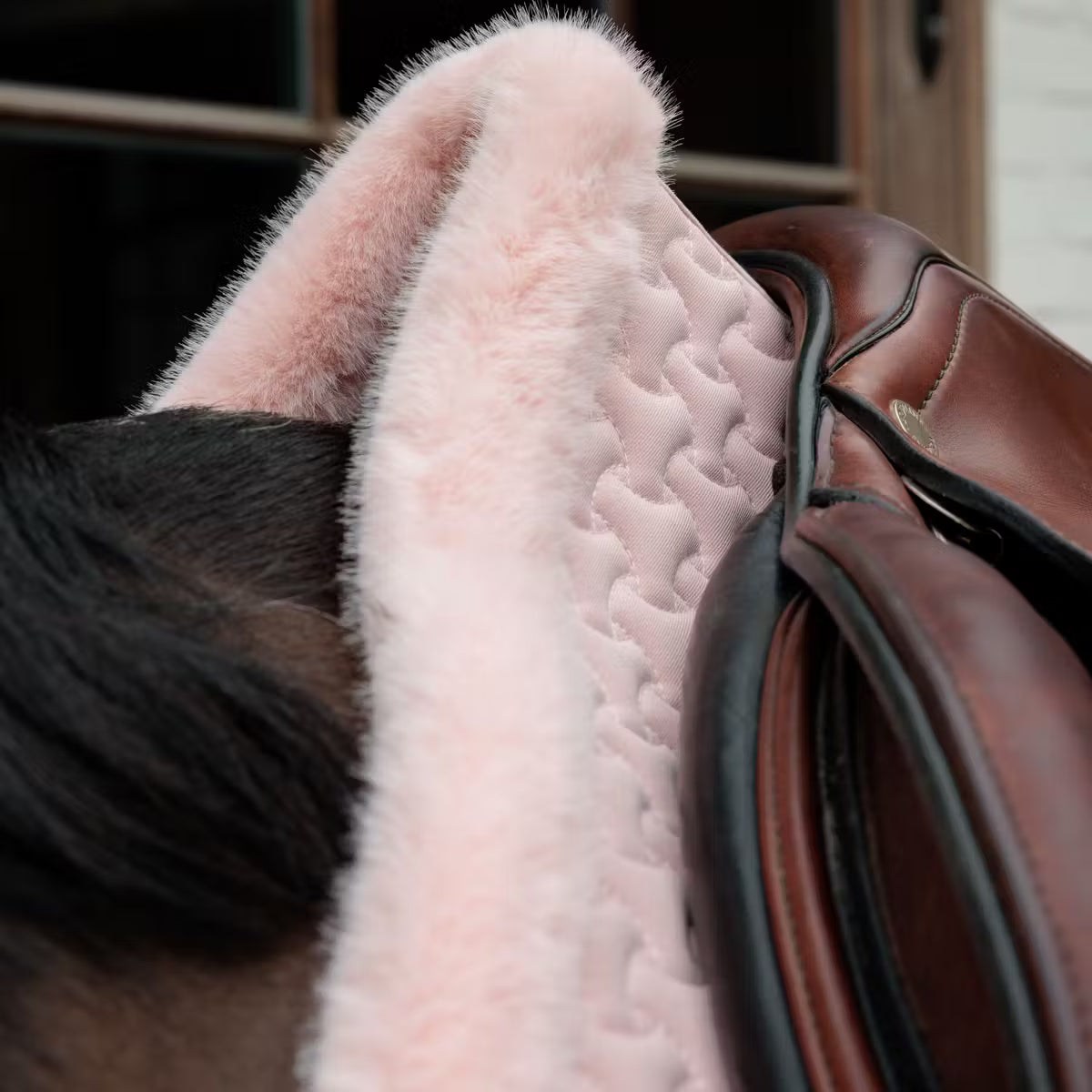 Detail of a horse wearing a pink saddle pad 