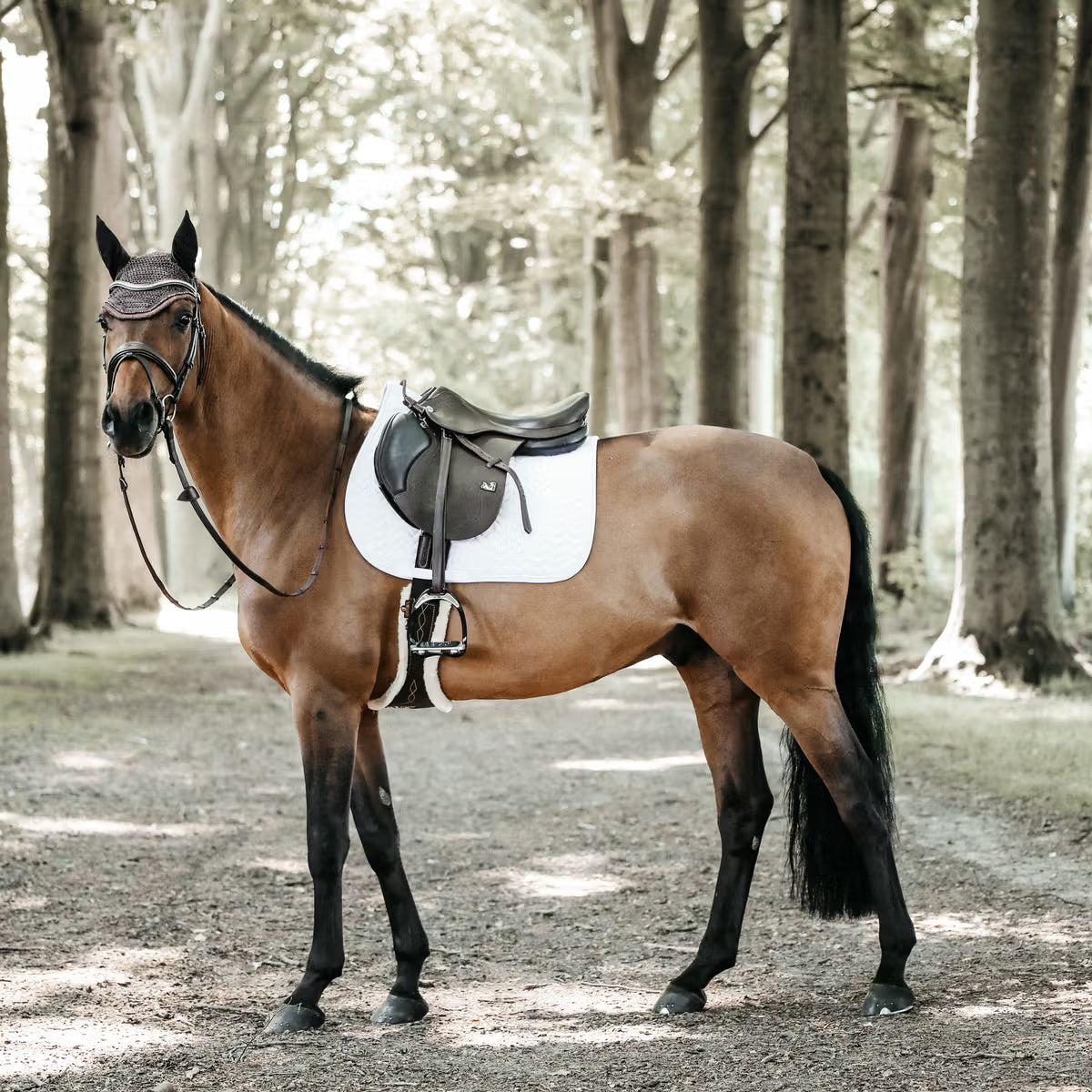 Brown horse with a saddle in a forest setting