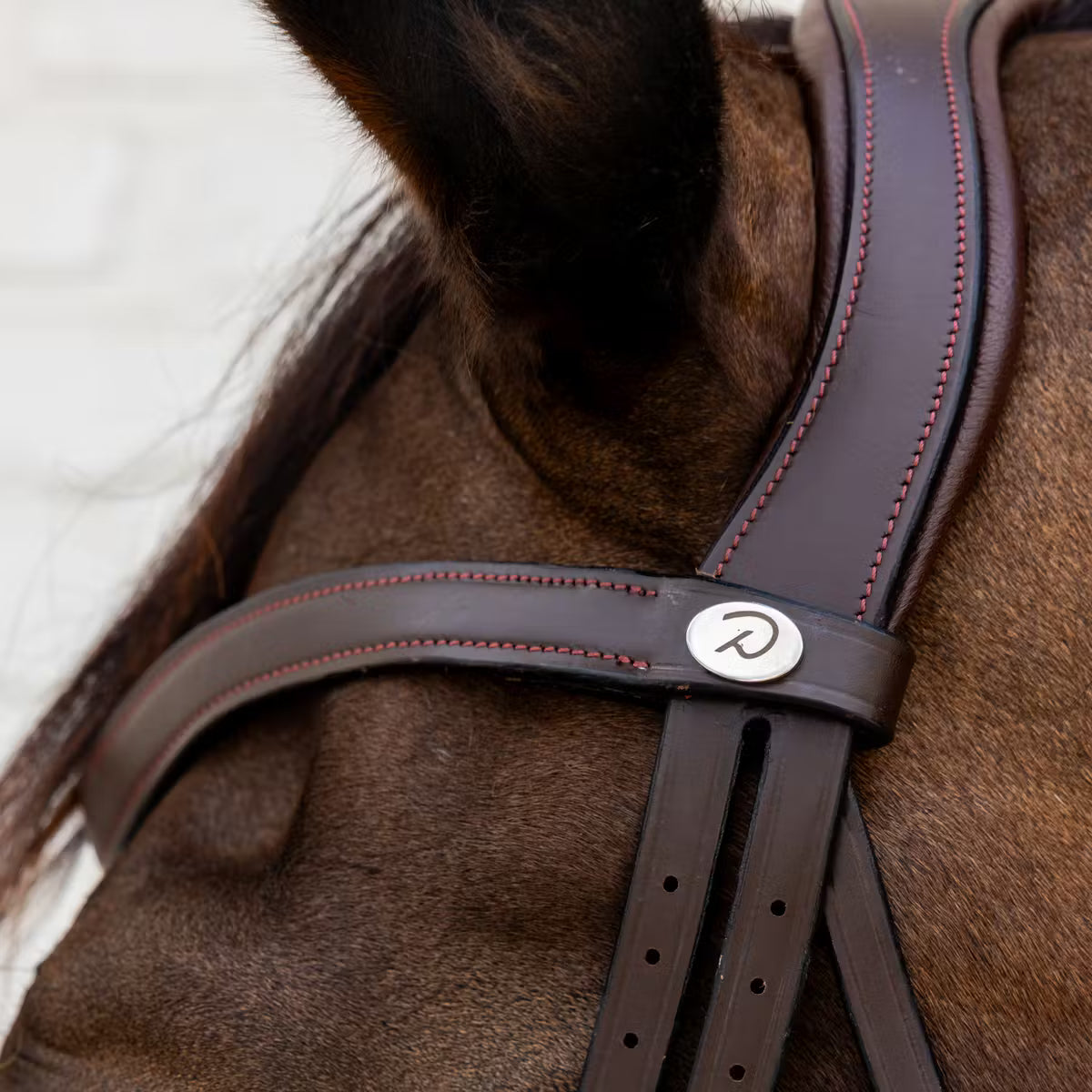 Close-up of a horse wearing a brown bridle with a visible brand logo.