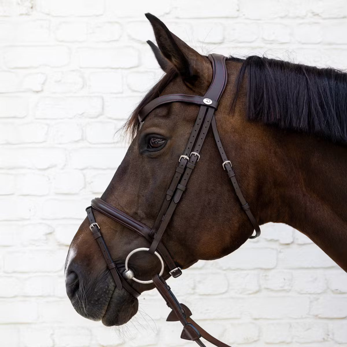 Brown horse wearing a bridle against a white brick wall