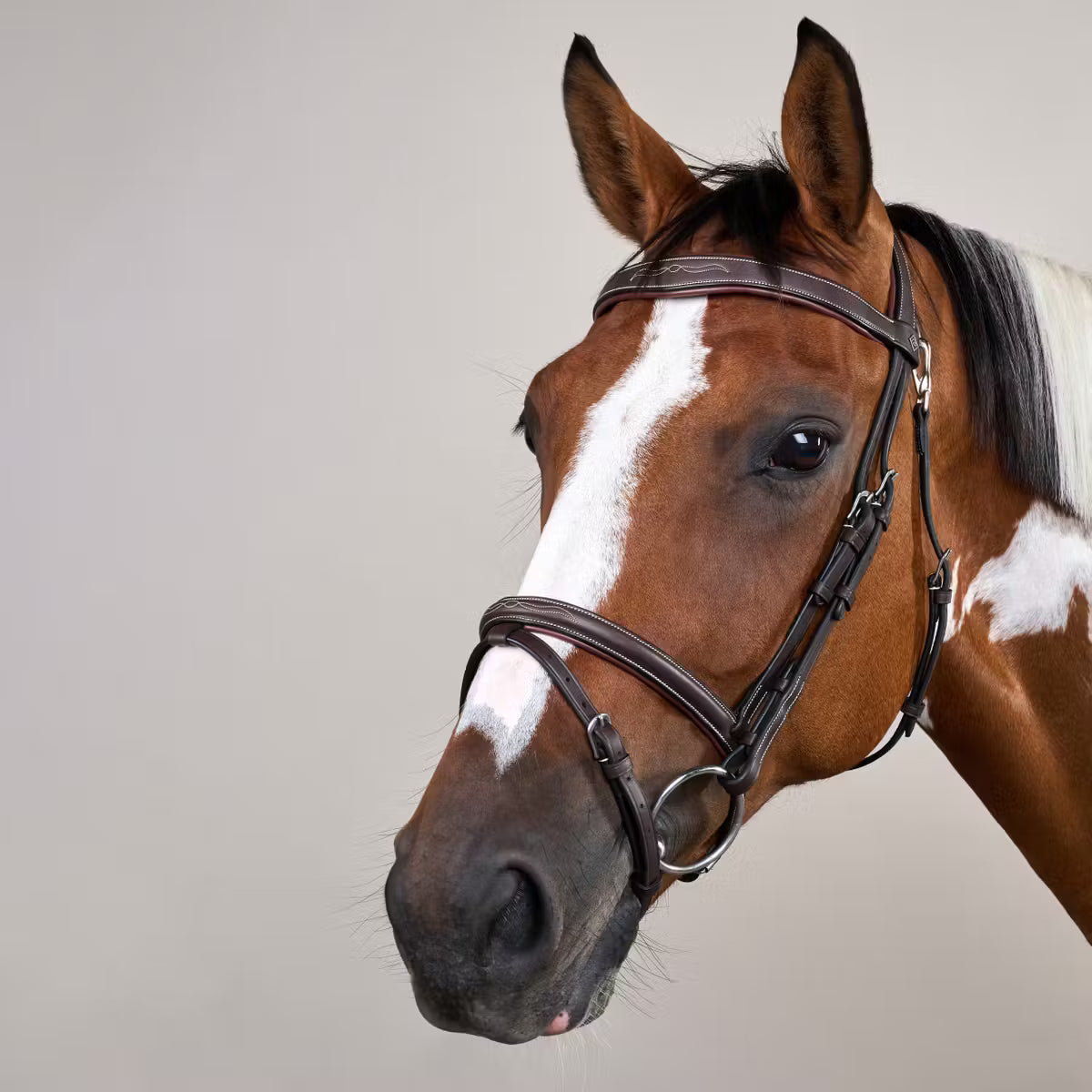 Close-up of a brown horse with a white stripe on a gray background