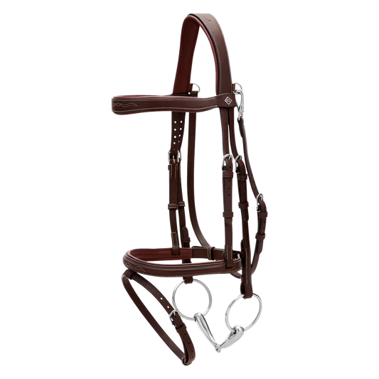 Brown horse bridle on a white background
