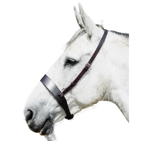 Grey horse wearing a brown cavesson noseband