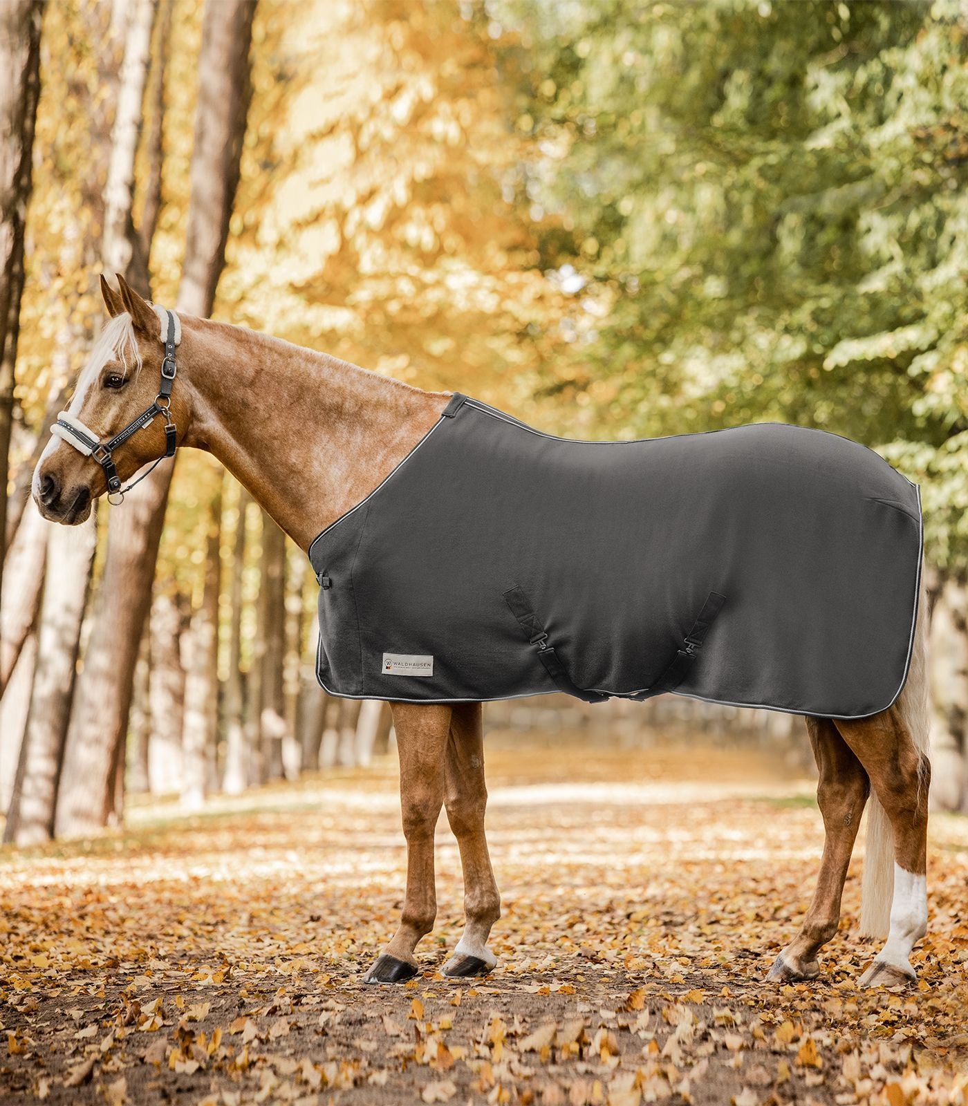 Grey fleece rug on a horse in a forest setting