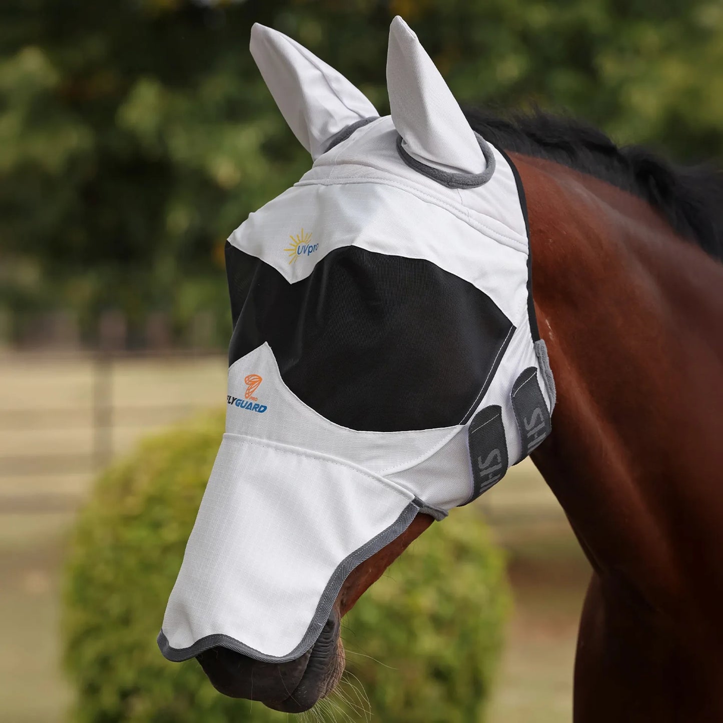 A close-up of a brown horse wearing a white fly mask with black eye panels and gray trim, photographed outdoors with blurred greenery in the background.