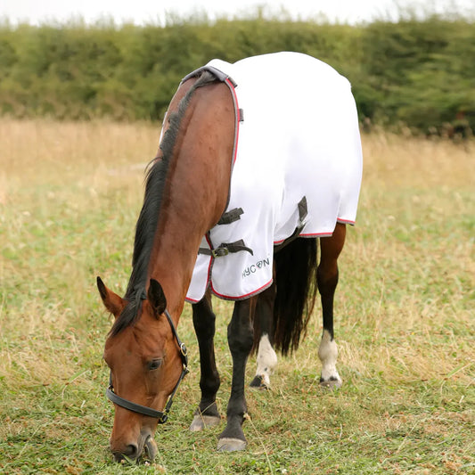 Horse grazing in a field wearing a white rug with red trim.