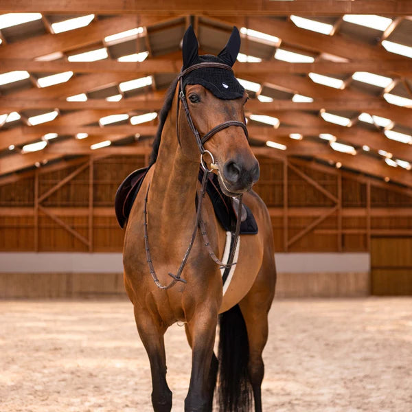 Black fly veil on a brown horse in a riding arena