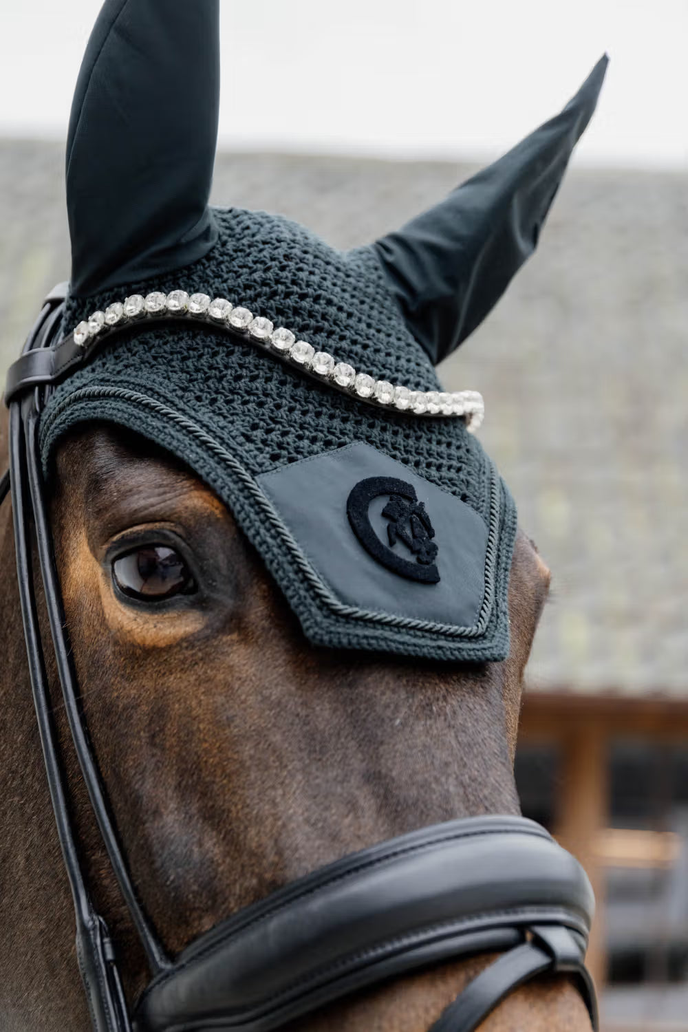 Horse wearing a green fly veil with a decorative band.
