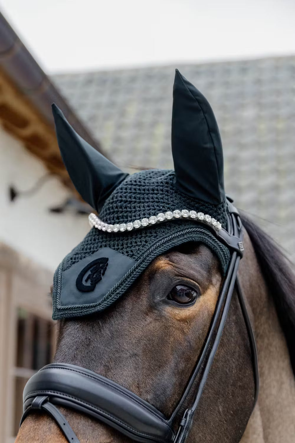 Horse wearing a green fly veil and a browband with pearl accents in front of a building.
