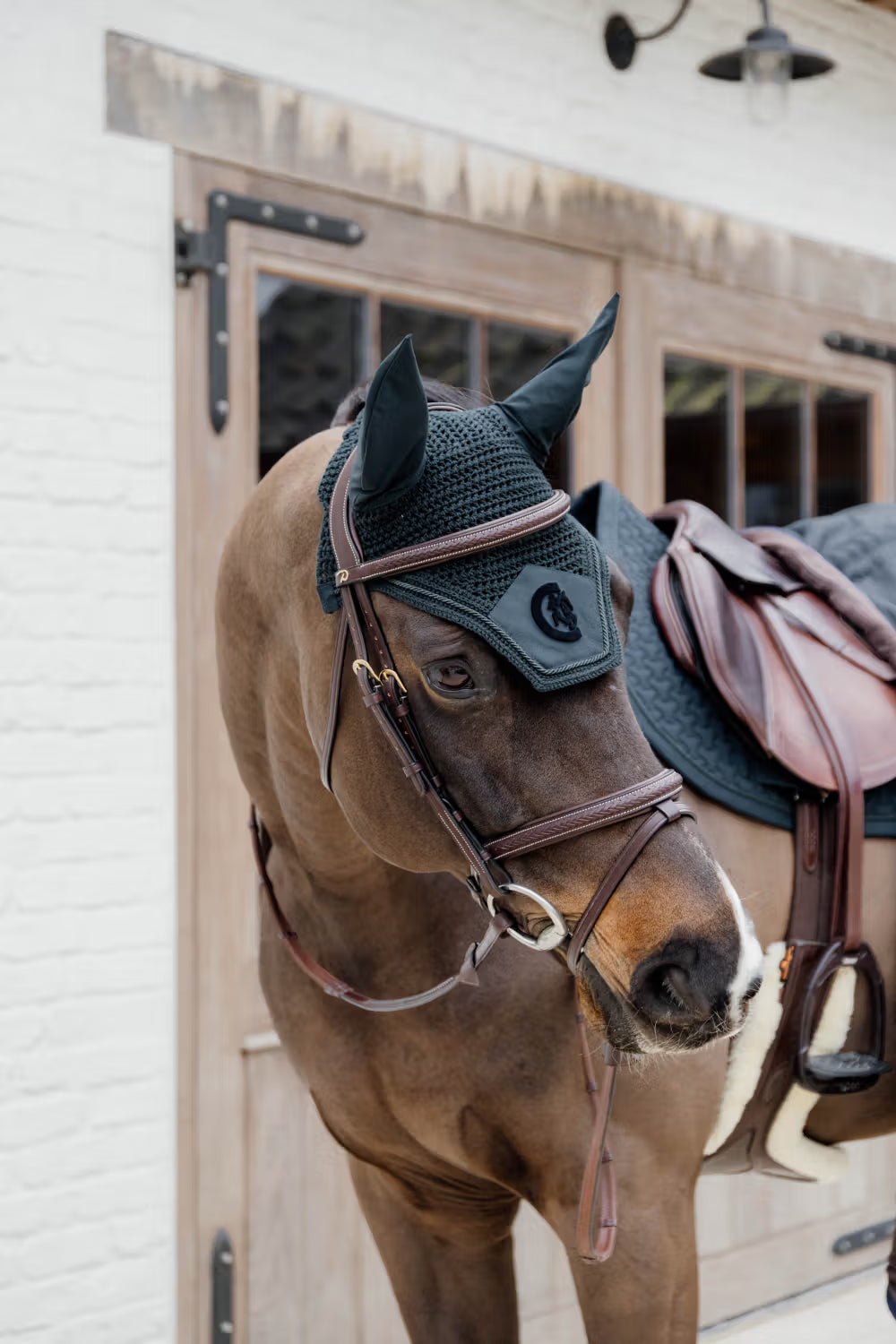 Horse wearing a bridle and saddle in front of a wooden door.