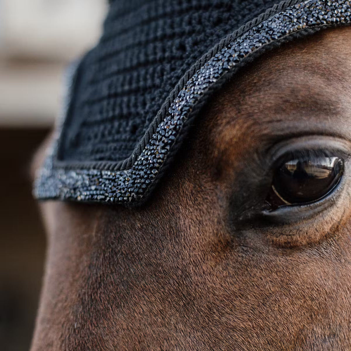 Detail of a black crystal fly veil on a horse