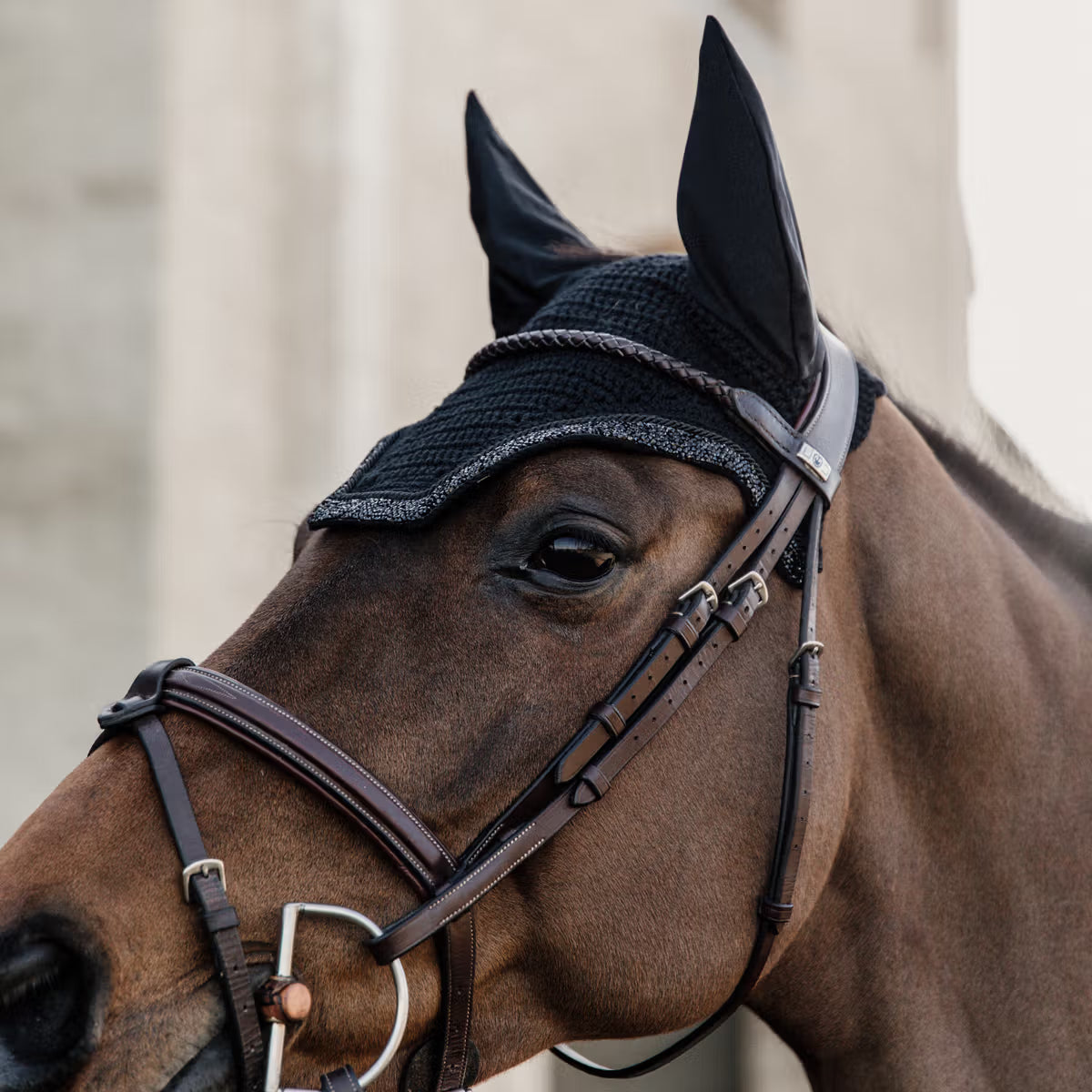 Horse wearing a black fly veil on a blurred background