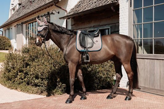 Brown horse with a saddle standing in front of a building