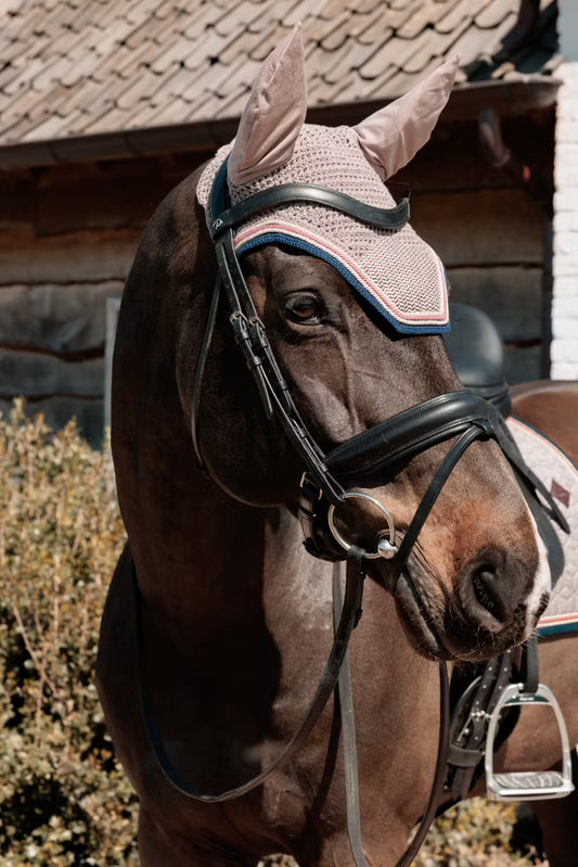 Horse wearing a pink fly mask with a stable in the background