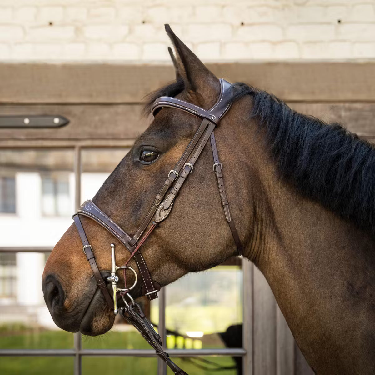 Brown horse with a bridle standing in front of a wooden stable door.