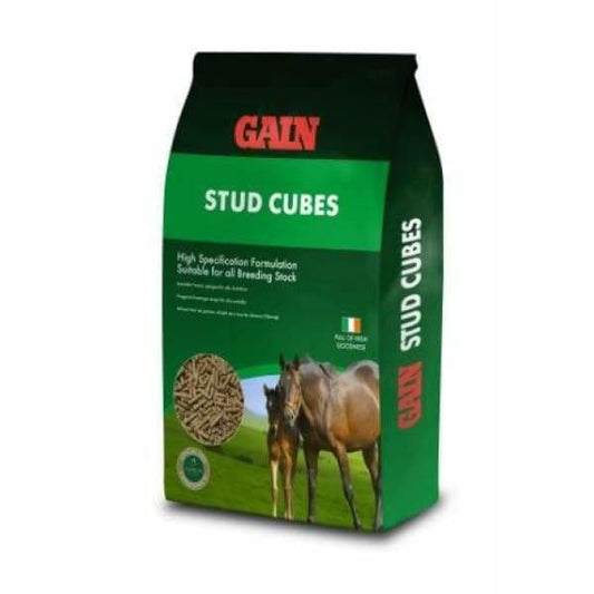 Boomerang Equestrian - Gain Stud Cubes