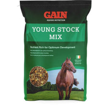  Gain Young Stock Mix - Horse Feed