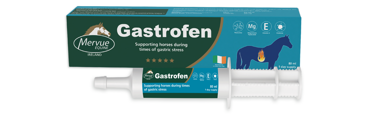 Gastrofen product packaging for horses with a syringe on a white background