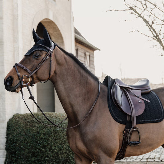 Bay horse wearing a black fly veil and matching saddle pad in an outdoor setting