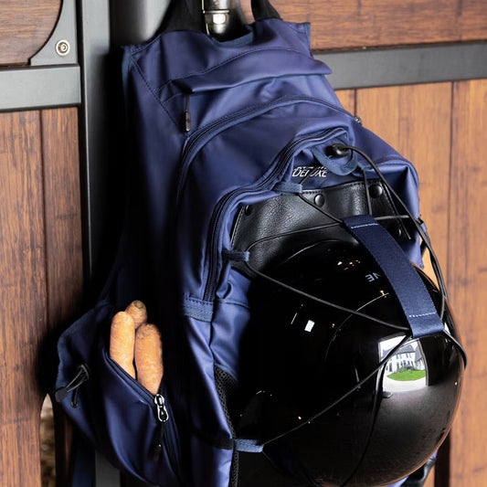 Blue backpack with a helmet inside, attached to a wooden door.