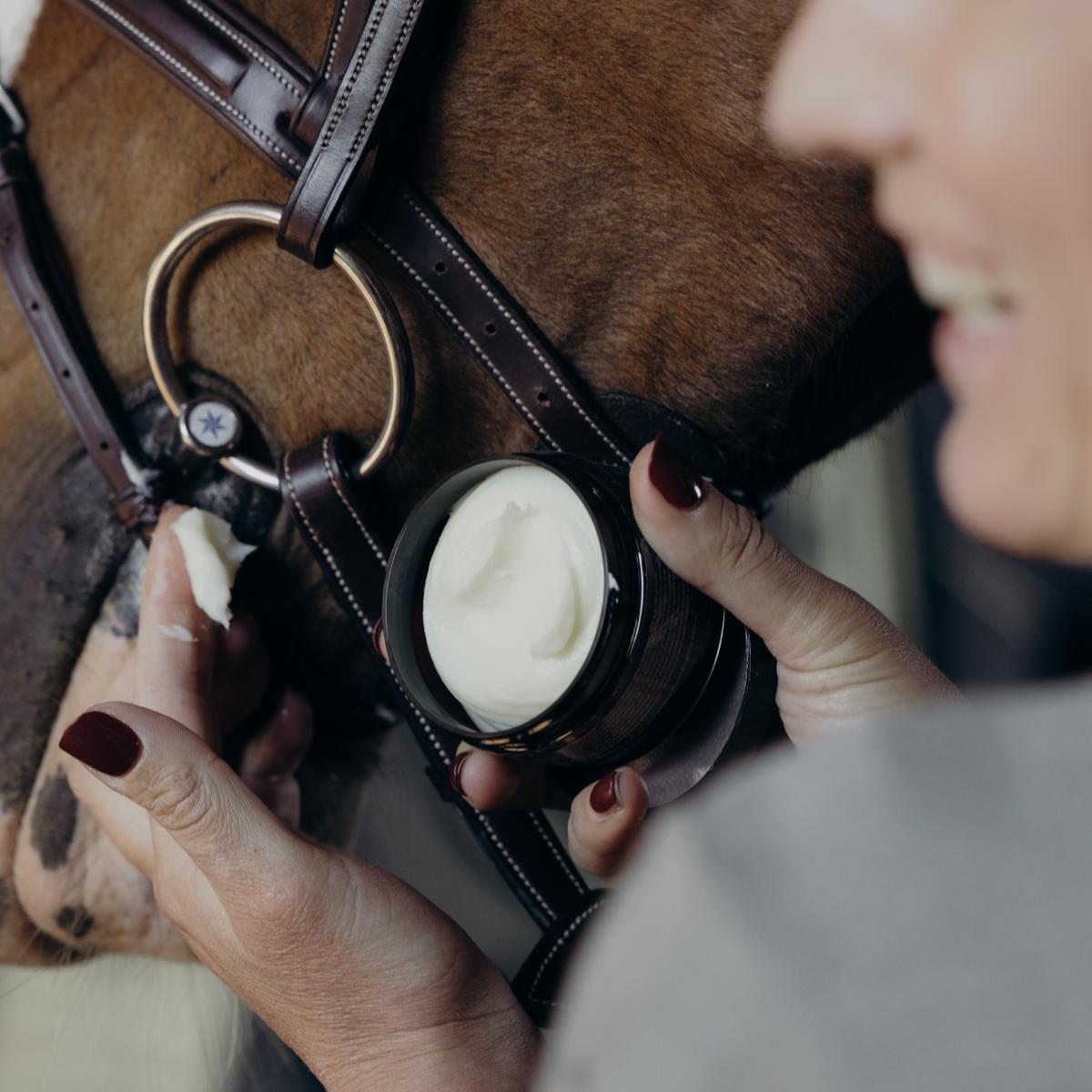 Person applying cream to a horse's bridle with a close-up focus on the action.