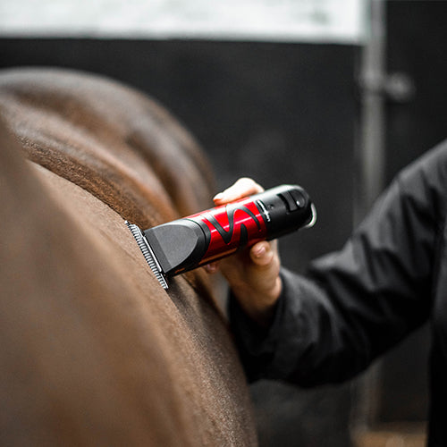 Person using a red and black grooming tool on a horse's neck.