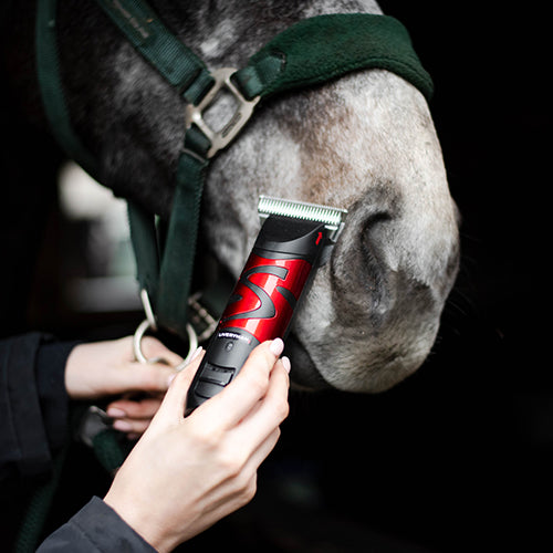 Person using a hair trimmer on a horse's face with a dark background