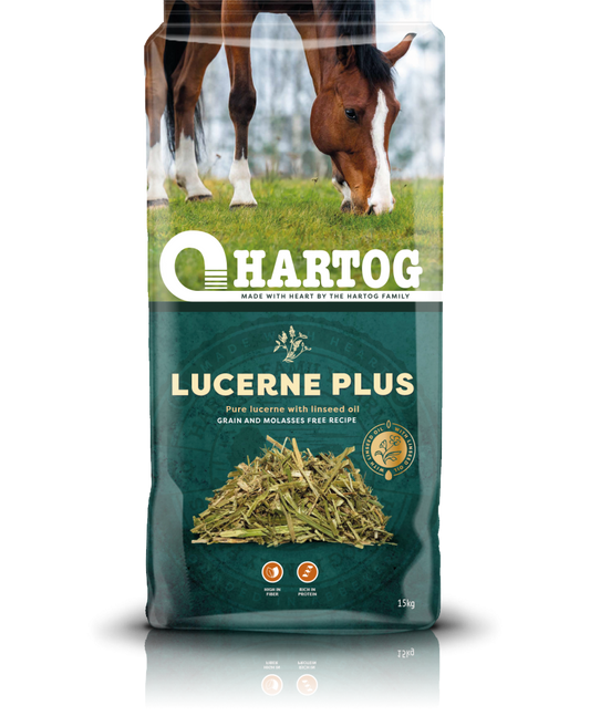 Hartog Lucerne Plus horse feed bag with a horse in the background