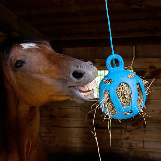 Boomerang Equestrian - Horsemen's Pride Jolly Hay Ball