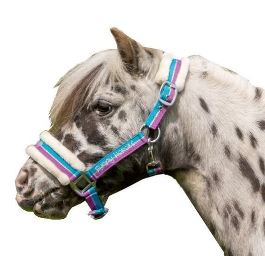 A close-up side profile of a horse wearing a colorful halter. The halter features white fleece padding, bright blue straps, and purple accents with the brand name Funny Horses printed on the side.