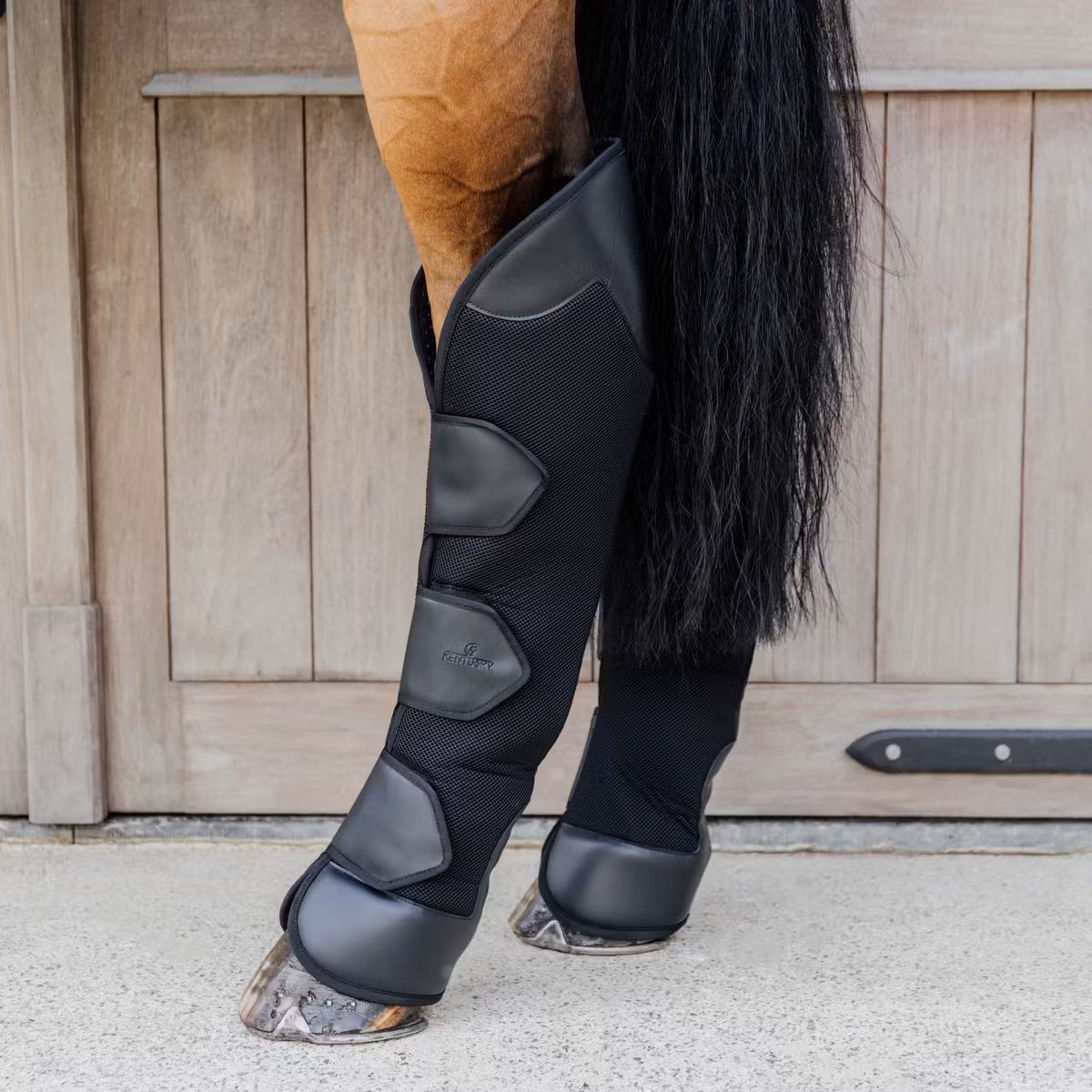 Horse leg with protective black leg wraps against a wooden fence background