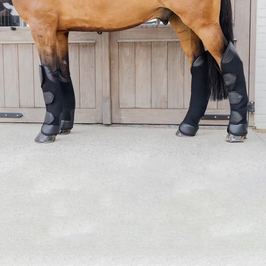 Horse wearing protective leg wraps on a concrete floor with wooden stable door in the background